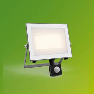 Philips LED-buitenspot Lois UE Sensor, 24 W, 3.000 K IP65 antraciet, wit