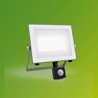 Philips LED-buitenspot Lois UE Sensor, 24 W, 5.000 K IP65 antraciet, wit