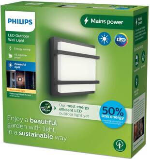 Philips LED buitenwandlamp Petronia UE antraciet