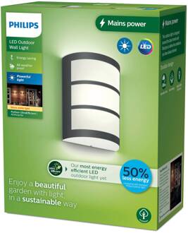Philips LED buitenwandlamp Python UE, antraciet