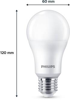 Philips LED lamp E27 13W 1.521lm 4.000K mat per 6