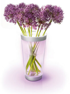 Philips LUMIWARE Vaas Transparant Sfeerverlichting