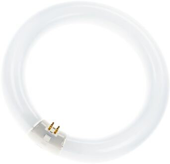 Philips master tl-e 32w/865 g10q (daglicht) Wit