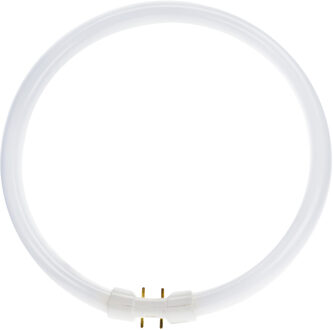 Philips Master TL5 Circular 40W/840 2GX13 (Koel Wit) 3300lm