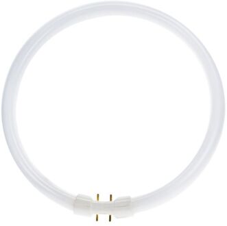 Philips Master TL5 Circular 55W/840 2GX13 (Koel Wit) 4200lm
