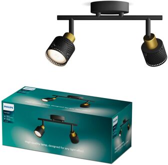 Philips Opbouwspot Niall Zwart Messing 2xgu10