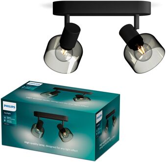 Philips Opbouwspot Sleet Zwart 2xe14