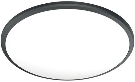 Philips Plafondlamp Cl254 Zwart ⌀34,7cm 17w