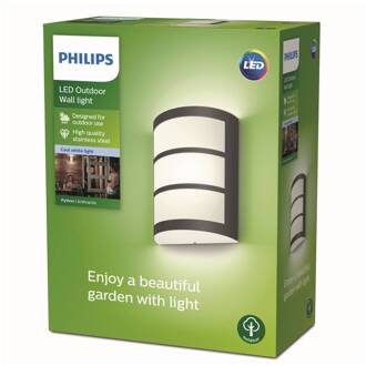 Philips Python LED buitenwandlamp antraciet 4.000K