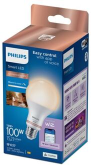 Philips Slimme Ledlamp A67 E27 13w