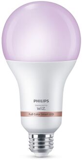 Philips Slimme Ledlamp E27 18,5w