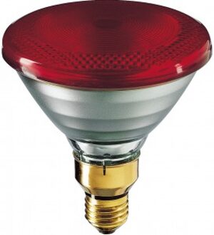 Philips Warmtelamp E 100w Rood Energie Besparend