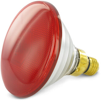 Philips Warmtelamp E 175w Rood Energiebesparend