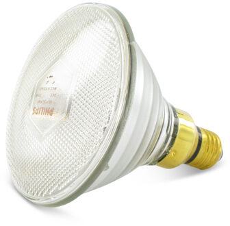 Philips Warmtelamp witlicht (spaarlamp) 100watt