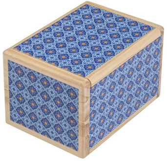 Philos Geheime Puzzeldoos - Kyoto