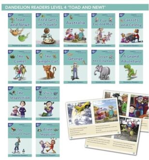 Phonic Books Dandelion Readers Vowel Spellings Level 4 (Alternative Spellings For Vowels And - Phonic Books