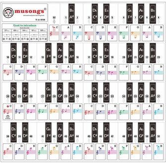 Piano Toetsenbord Stickers Voor 37/ 49/ 61/ 88 Toetsen Toetsenborden Met Muzikale Stave Voor Kinderen Beginners Piano leren Praktijk zwart