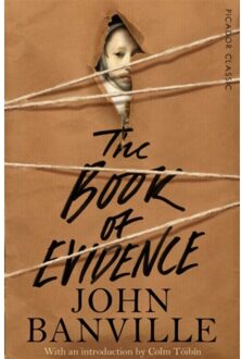 Picador Uk The Book Of Evidence - John Banville