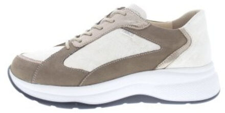 Piccadilly Bruin - 38