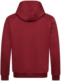 PIERRE CARDIN Sweater met capuchon van Pierre Cardin Bordeaux