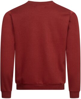 PIERRE CARDIN sweatshirt Bordeaux