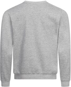PIERRE CARDIN sweatshirt - maat M Grijs