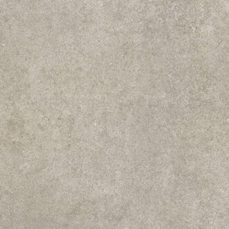Pierre Ozone Grey wand- en vloertegel - 60x60cm - 10mm - Vierkant - gerectificeerd - Natuursteen look - mat grijs SW07310715-1 Grijs mat
