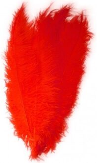 Pieten veer/struisvogelveren rood 50 cm - Sinterklaas feestartikelen - Sierveren/decoratie pietenveren - Spadonis veer