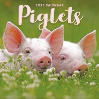 Piglets Square Mini Calendar 2025 - Calendars, Carousel
