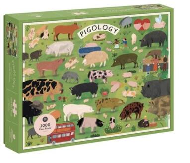 Pigology -  Camilla Pintonato (ISBN: 9781648961632)