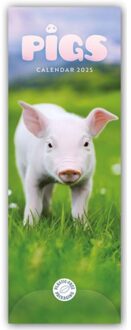 Pigs Slim Calendar 2025 - Slimline-Kalender (Browntrout) - Calendars, Carousel
