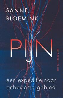 Pijn. Expeditie naar onbestemd gebied -  Sanne Bloemink (ISBN: 9789493304710)