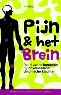 Pijn & het brein - Boek Annemarieke Fleming (9035144279)