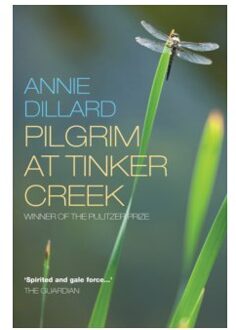 Pilgrim at Tinker Creek