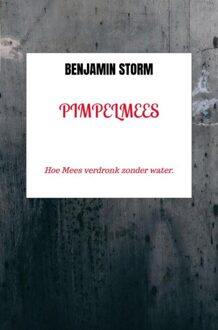 Pimpelmees - Benjamin Storm - ebook