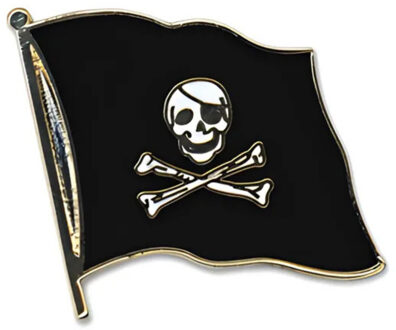 Pin broche/speldje Vlag Piraten thema 20 mm - Decoratiepin/ broches Multikleur