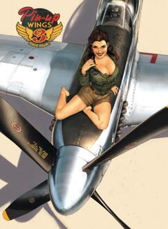 Pin-up Wings / 3 - Boek Romain Hugault (9058859045)