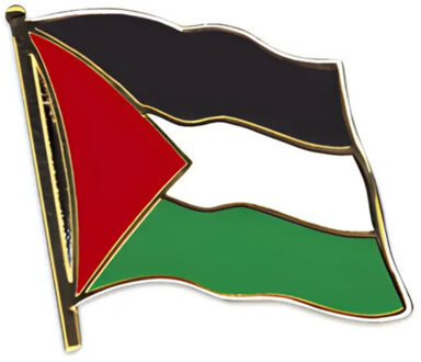 Pin Vlag Palestina - 2 cm - vlaggen speldje - supporter - mini broche