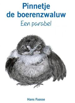 Pinnetje de boerenzwaluw - Boek Hans Faasse (9463427309)