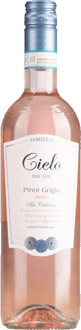 Pinot Grigio Rosé Blush