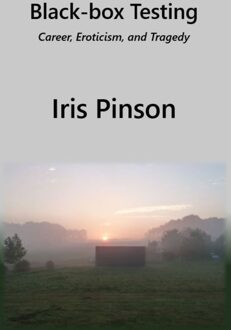 Pinson Publisher Black-box Testing - Iris Pinson - ebook
