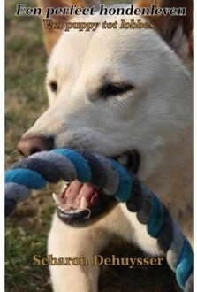 Piramidions Een perfect hondenleven - Boek Scharon Dehuysser (9491439707)