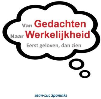 Piramidions Van gedachte naar werkelijkheid - Boek Jean-Luc Spaninks (9492247518)