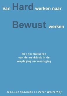 Piramidions Van hard werken naar bewust werken - Boek Jean-Luc Spaninks (9491439561)