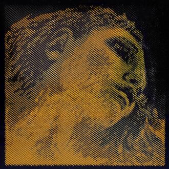 Pirastro P425021 snarenset altviool snarenset altviool, medium, in enveloppen