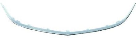 Plaat, radiateurgrille Priority Parts 1807041