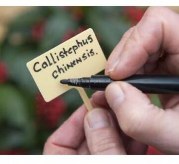 Plaatetiketten incl.tuinstift H13cm set a 10 stuks Geel