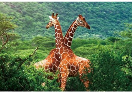 Placemat giraffe 3D 28 x 44 cm Multi