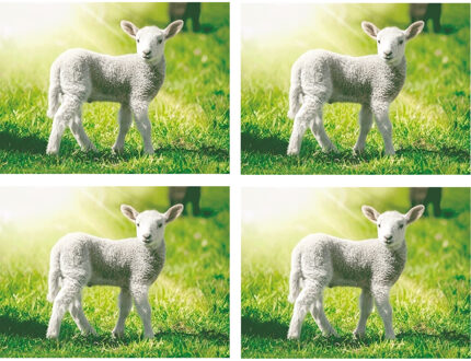 Placemats dieren lammetje 3D - 4x - onderleggers - 30 x 40 cm - ontbijt/knutselen