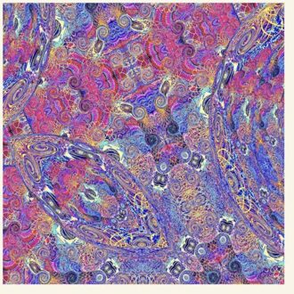 Placenta - Carlos Nino & Friends